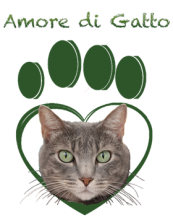 amore di gatto